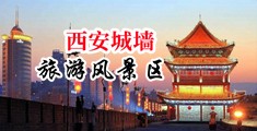 .com爆操嫩逼中国陕西-西安城墙旅游风景区