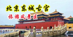 大鸡巴尻大屄视频中国北京-东城古宫旅游风景区